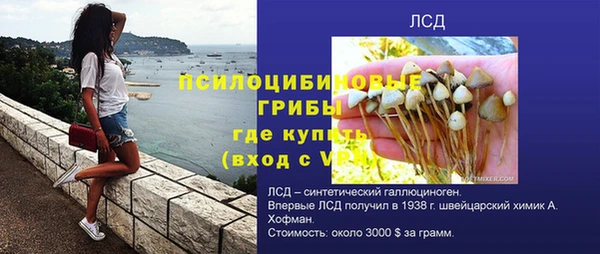 тгк Кодинск